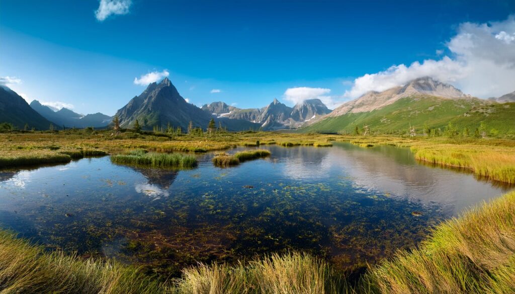 pexels photo 27786308.jpeg