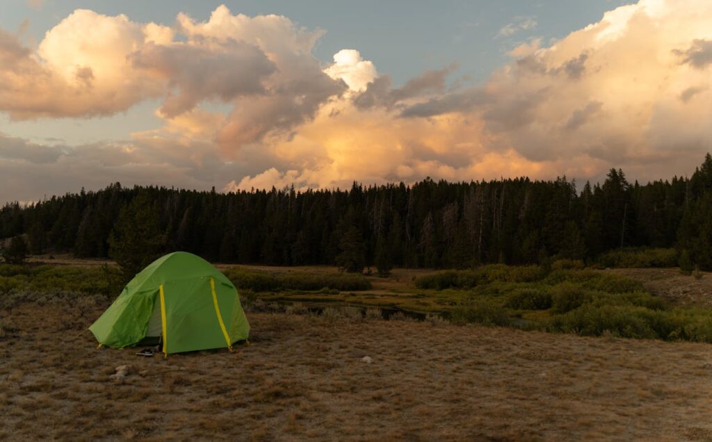 pexels photo 33775543.jpeg