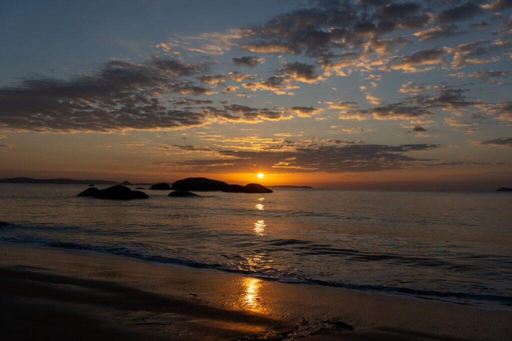 pexels photo 35157043.jpeg