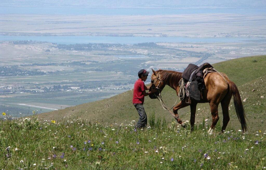 Horse in Karakol